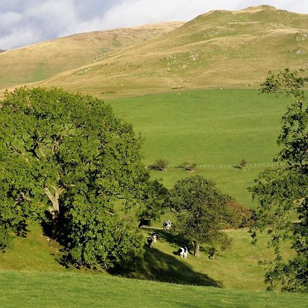 Gateside Farmhouse Sedbergh Exterior photo