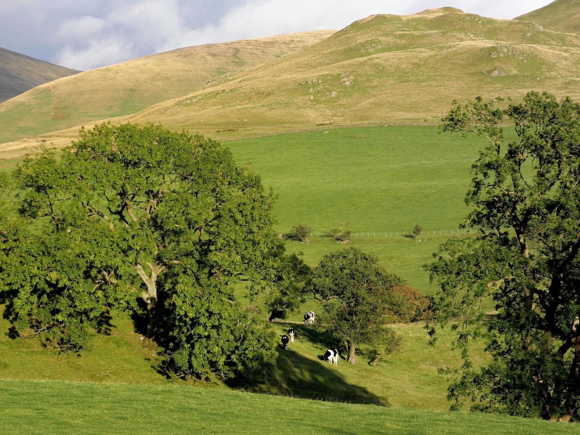 Gateside Farmhouse Sedbergh Exterior photo